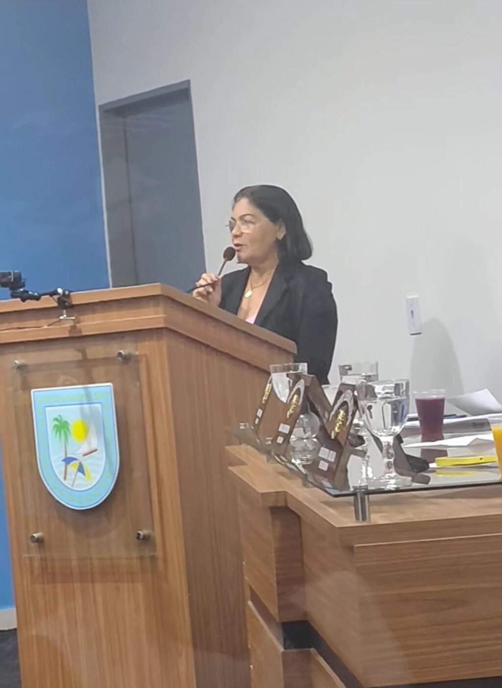 Vereadora Rebate Desinformação De Colega E Prova Que Animais Soltos Nas Ruas Continuam Sendo Apreendidos Pela Prefeitura De Lucena – Veja VÍdeo